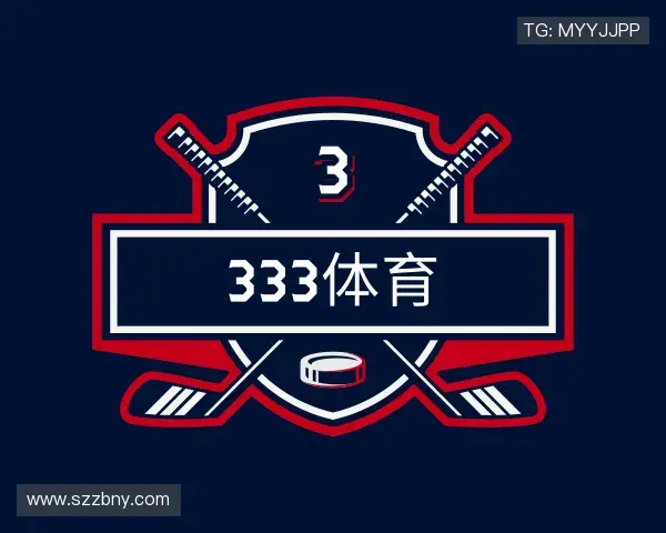 介绍333体育